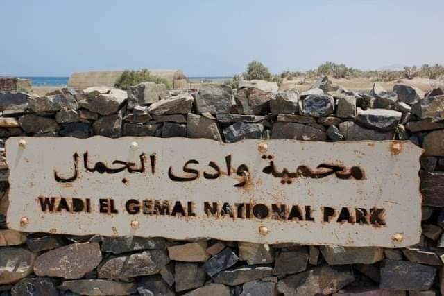 Wadi El-Gamal 